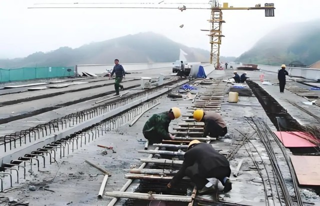 微信图片_2026-01-20_093156_348