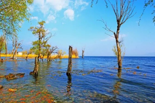 微信图片_2026-01-20_093545_420