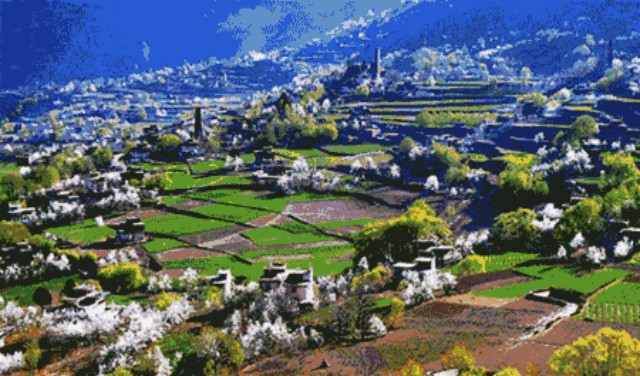 微信图片_2026-01-20_093819_684