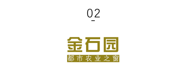 微信图片_2026-01-26_092200_416