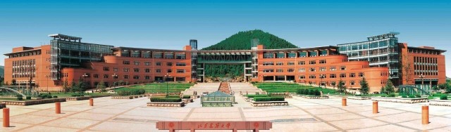 微信图片_2026-02-02_164114_062