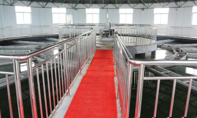 微信图片_2026-02-02_164304_645