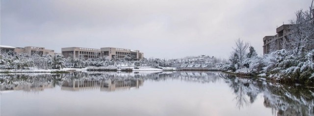 微信图片_2026-02-11_155641_430