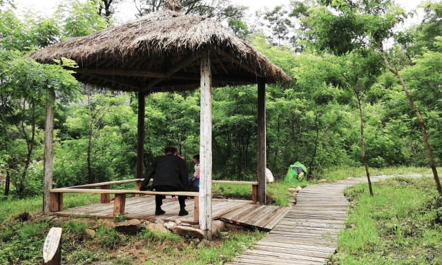 微信图片_2026-02-24_143811_931