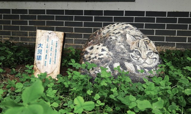 微信图片_2026-02-24_143835_582